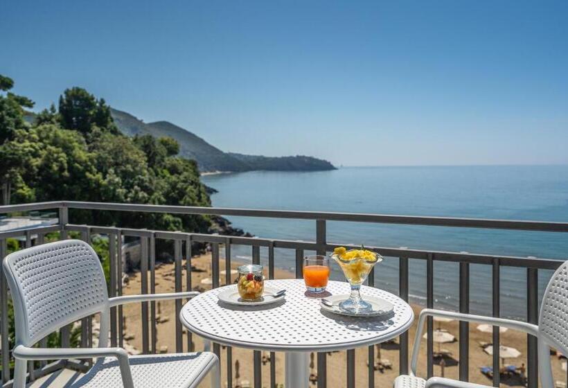 高级大房间, Summit