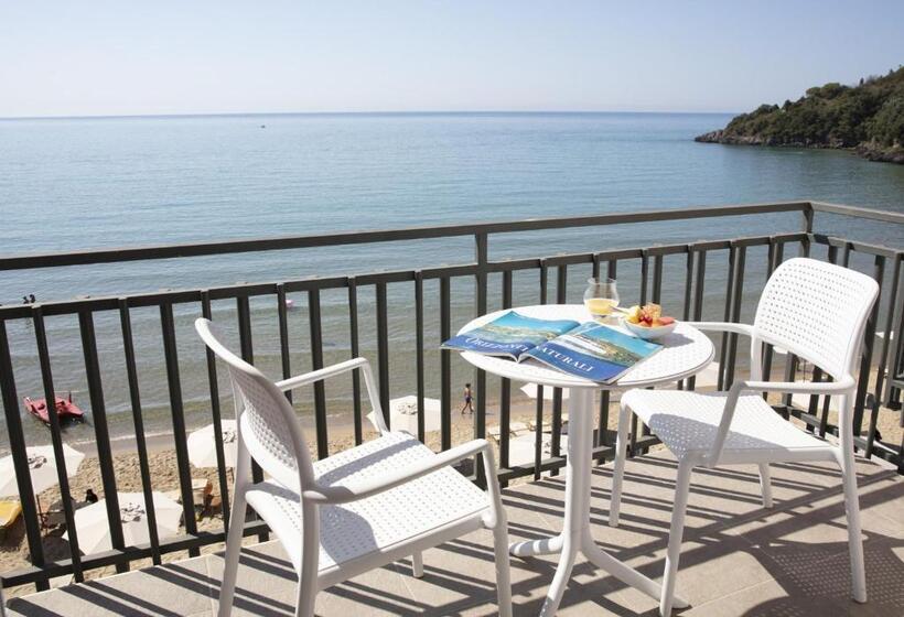 高级大房间, Summit