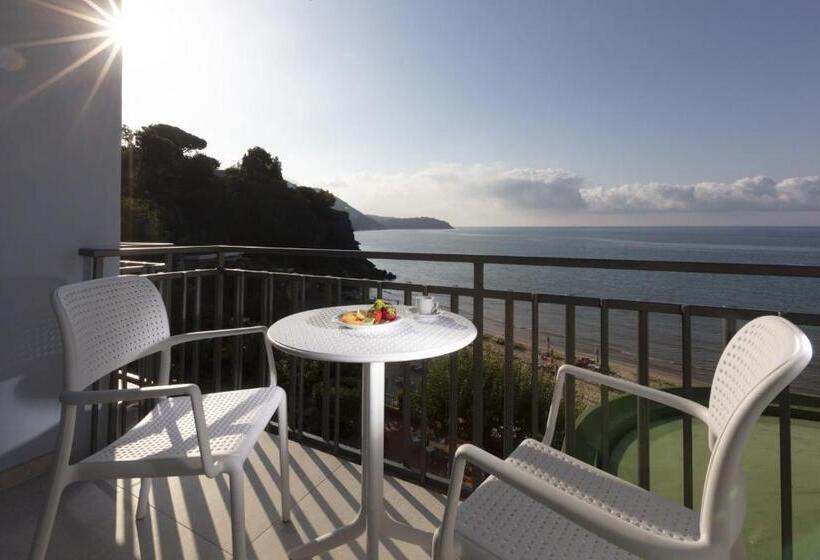 豪华海景房, Summit