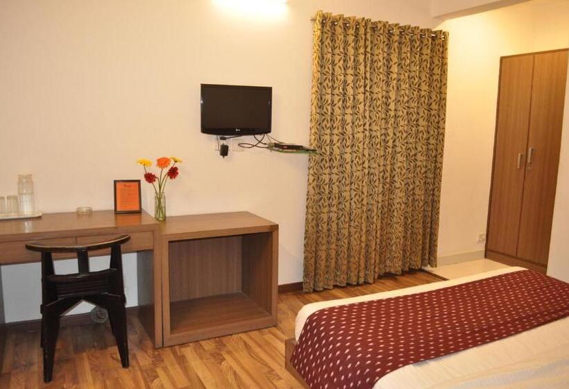 Chambre Deluxe, Thyme The Transit