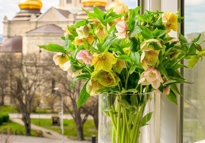 سوییت اجرایی, Lakeshore Hotel Metropolis