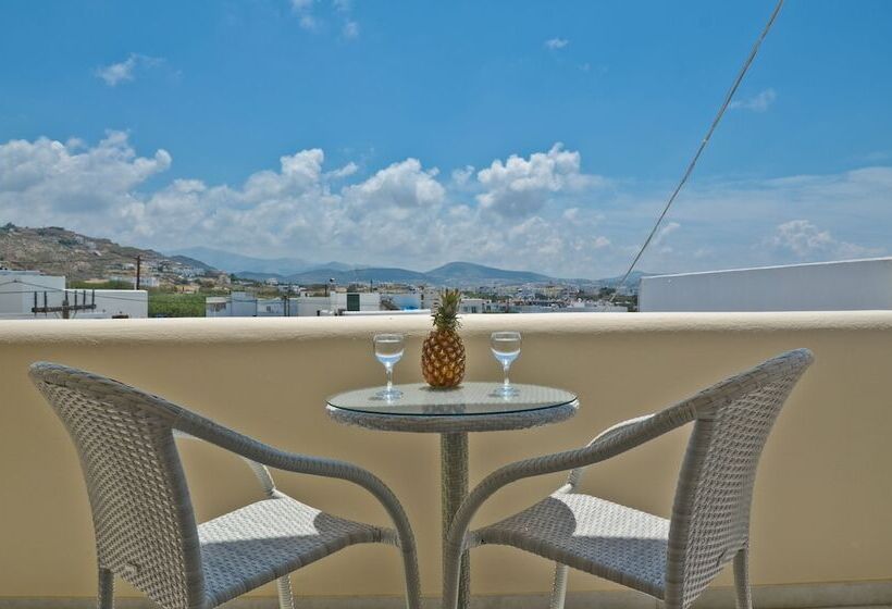 غرفة قياسية, Margo Studios