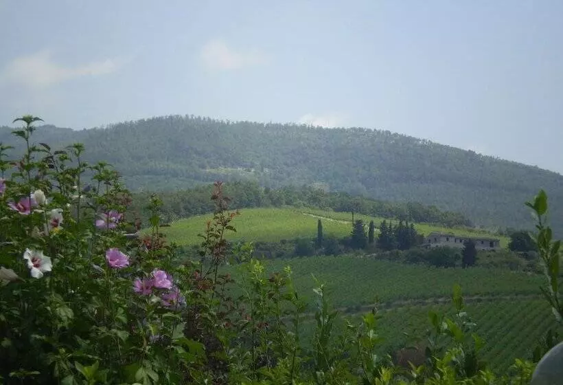 اتاق استاندارد یک نفره, B&b Il Nido Del Merlo