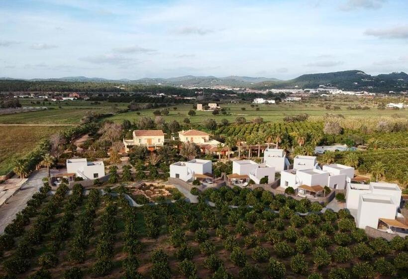 ガーデンビューの１ベッドルームビラ, Can Jaume By Ocean Drive