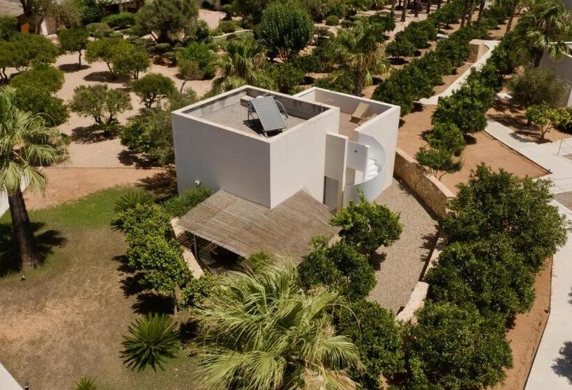 ガーデンビューの１ベッドルームビラ, Can Jaume By Ocean Drive