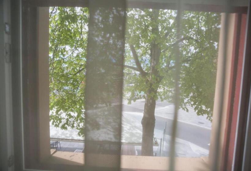 חדר סופריור, Customs House