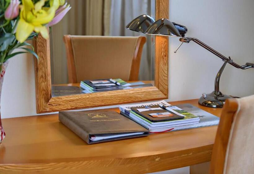 اتاق سوپریور, Hoang Son Peace