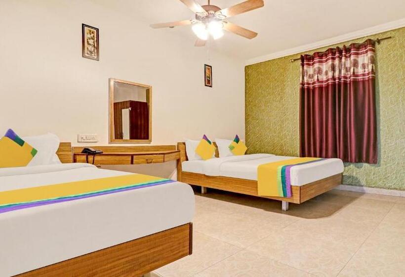 Quarto Triplo Deluxe, Teg Royal