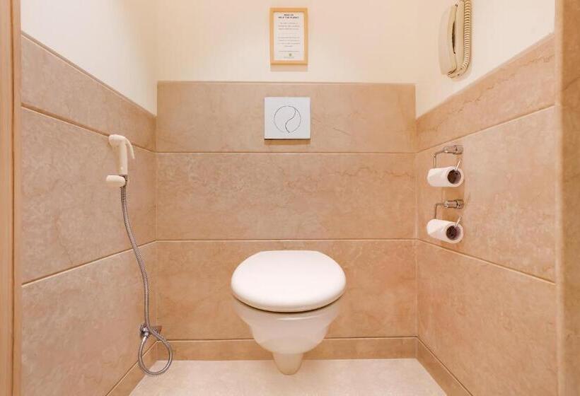 豪华房间, Lemon Tree Premier Delhi Airport