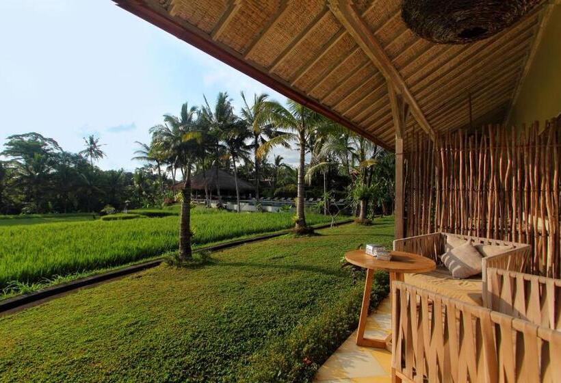 带观景的豪华间, Mathis Retreat Ubud
