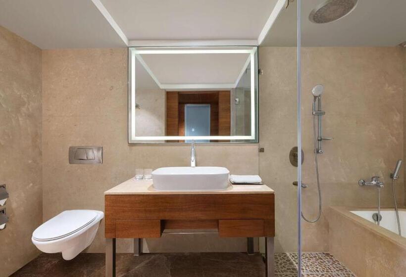 비즈니스룸, Radisson Blu Hotel Ranchi