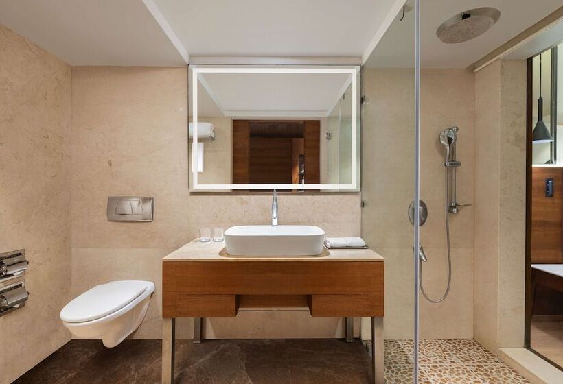 اتاق کلاس بیزنس, Radisson Blu Hotel Ranchi