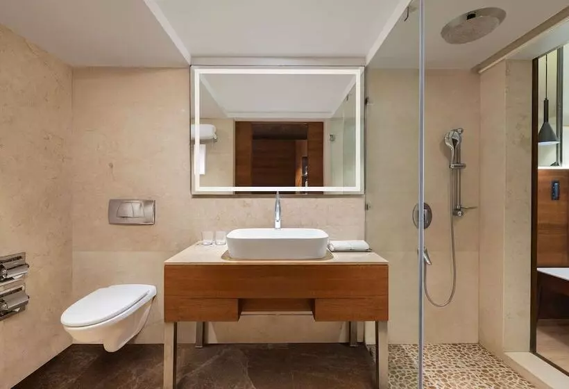 ビジネスルーム, Radisson Blu Hotel Ranchi