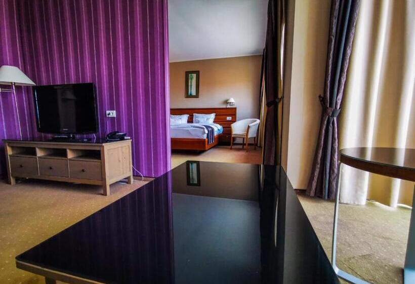 Люкс Executive Кровать Кинг, Wyndham Cluj