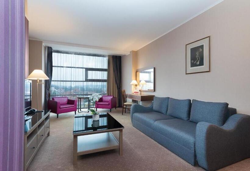 Люкс Executive Кровать Кинг, Wyndham Cluj