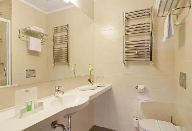 スタンダードルーム, Wyndham Cluj