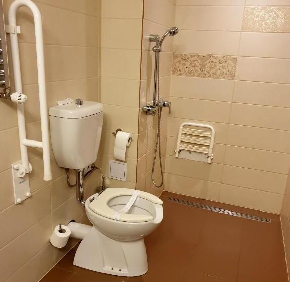 Номер Стандарт Адаптированный для Инвалидов, Wyndham Cluj