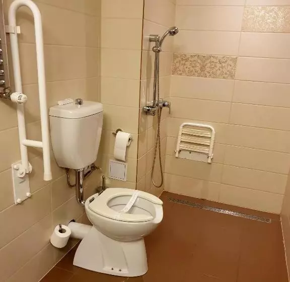 身障者適用スタンダードルーム, Wyndham Cluj