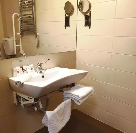 身障者適用スタンダードルーム, Wyndham Cluj