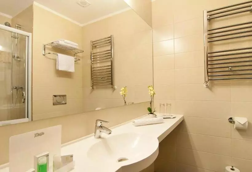 キングサイズベッドのスイートルーム, Wyndham Cluj