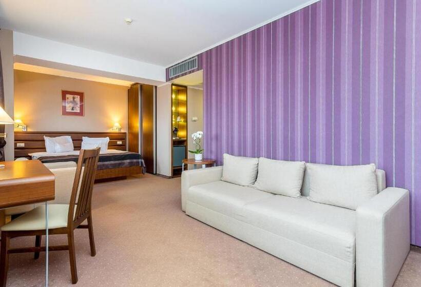 스위트 킹사이즈 침대, Wyndham Cluj