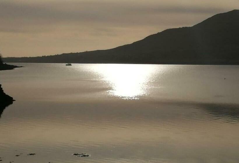 חדר סטנדרט לשלושה, The Oystercatcher