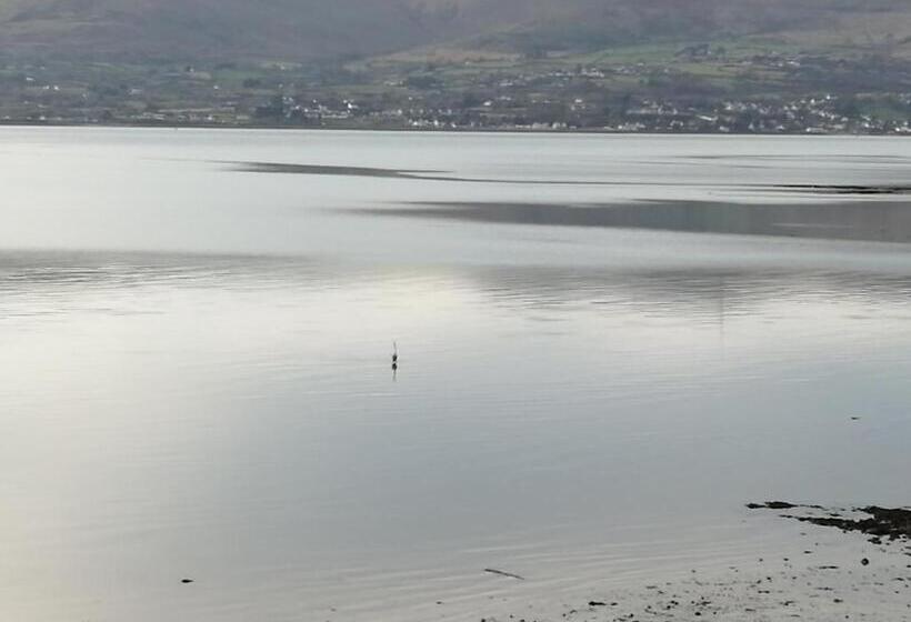 חדר סטנדרט לשלושה, The Oystercatcher