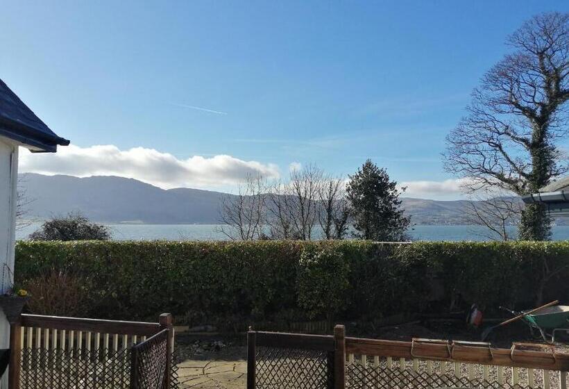 חדר דלוקס, The Oystercatcher