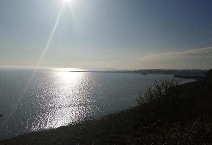 חדר סטנדרט לשלושה, The Oystercatcher