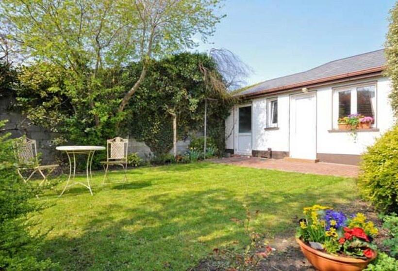 单人基本间, Lynfield Guest House