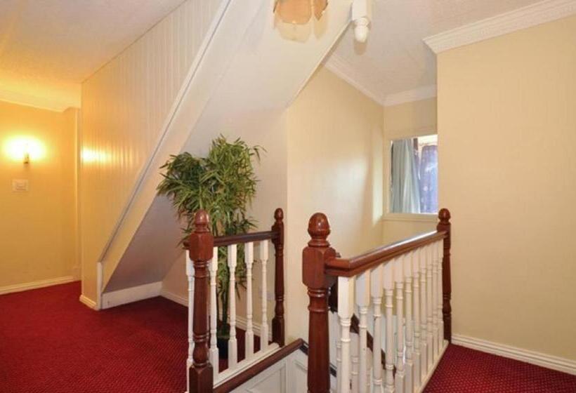 싱글 기본룸, Lynfield Guest House