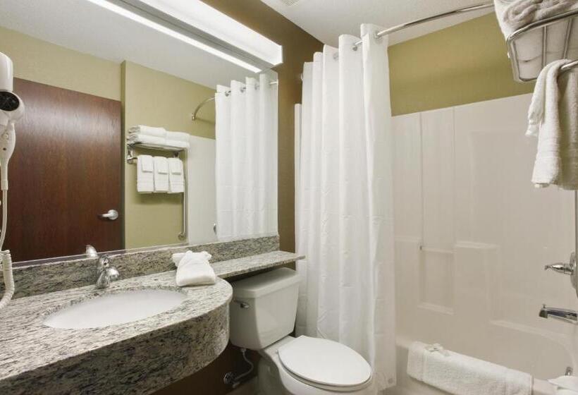 Номер Стандарт, Microtel Inn & Suites By Wyndham Williston