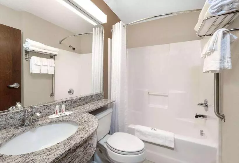 اتاق استاندارد, Microtel Inn & Suites By Wyndham Williston