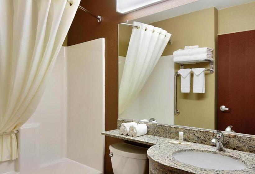 스위트, Microtel Inn & Suites By Wyndham Williston