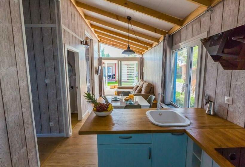 بنجلو قياسى غرفتين نوم, Alannia Guardamar