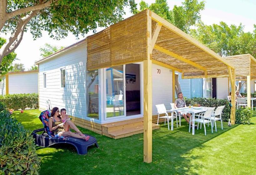 بنجلو قياسى غرفتين نوم, Alannia Guardamar