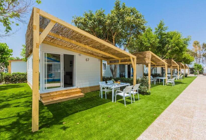 بنجلو سوبيريور, Alannia Guardamar