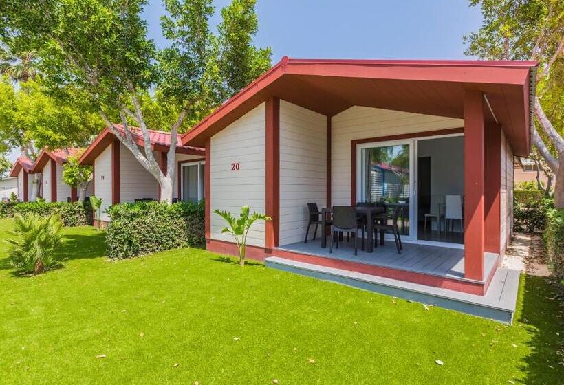 بنجلو قياسى غرفتين نوم, Alannia Guardamar