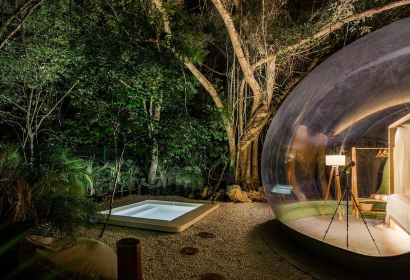 Люкс Премиум, Oom Bubble Boutique Riviera Cancun Adults Only