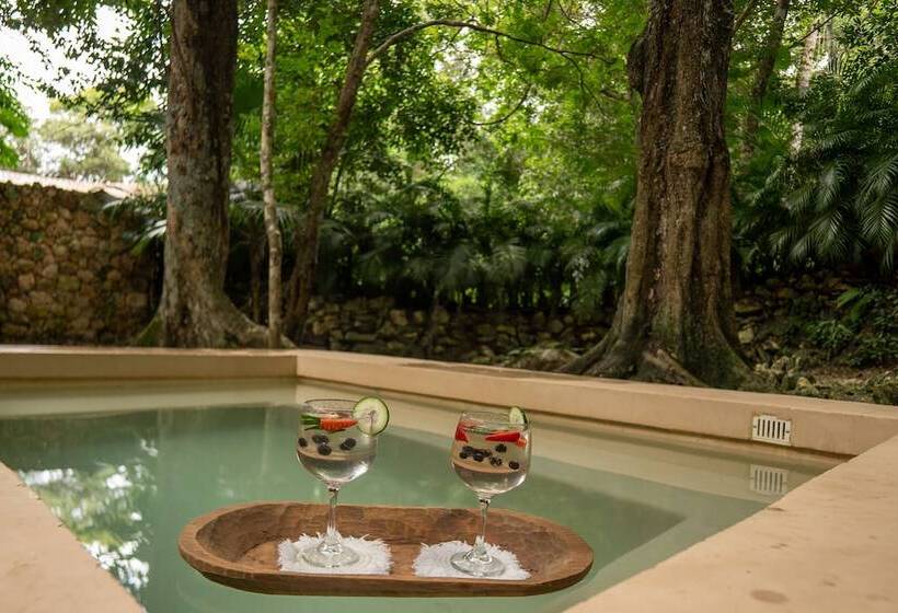 Люкс Премиум, Oom Bubble Boutique Riviera Cancun Adults Only