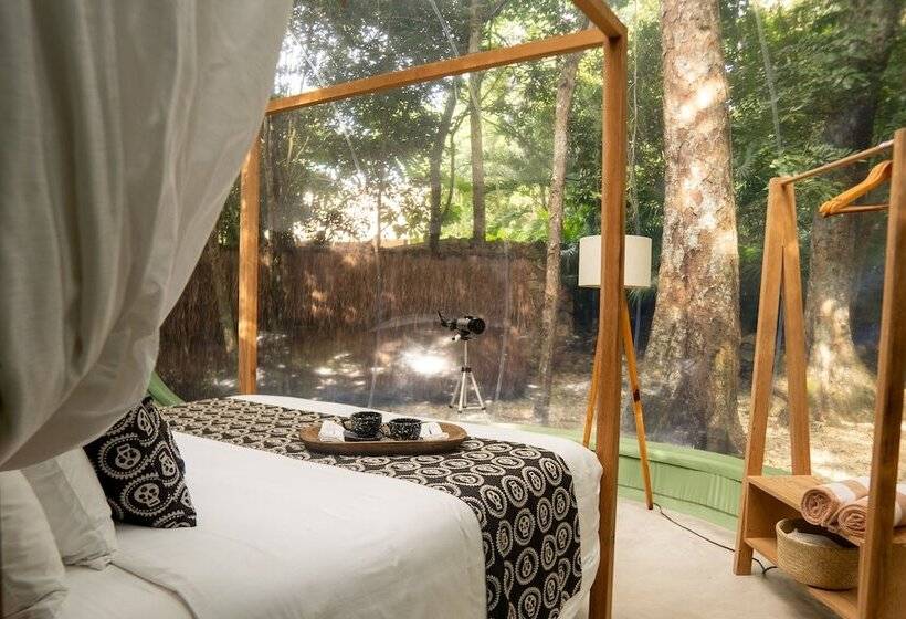 Люкс Премиум, Oom Bubble Boutique Riviera Cancun Adults Only