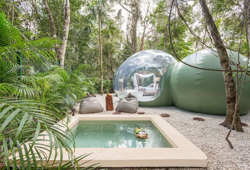 Люкс Премиум, Oom Bubble Boutique Riviera Cancun Adults Only