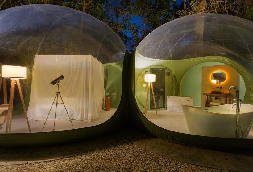 Люкс Премиум, Oom Bubble Boutique Riviera Cancun Adults Only