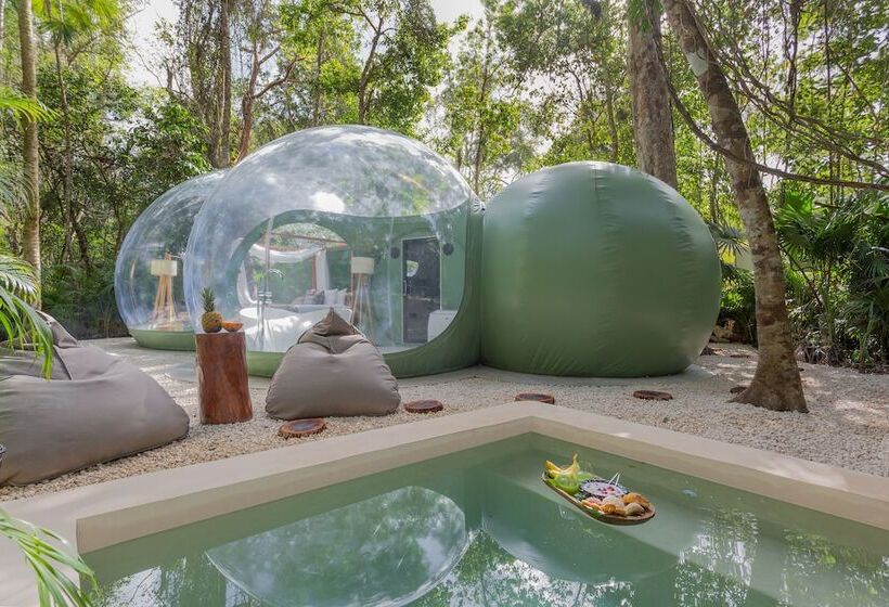 Люкс Премиум, Oom Bubble Boutique Riviera Cancun Adults Only