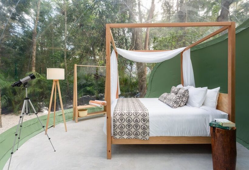 プレミアムスイート, Oom Bubble Boutique Riviera Cancun Adults Only