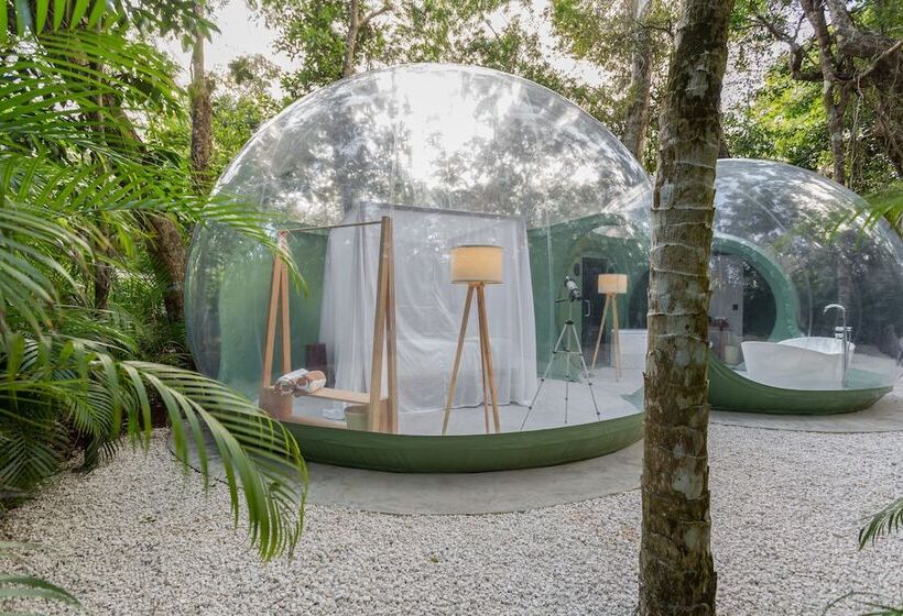 プレミアムスイート, Oom Bubble Boutique Riviera Cancun Adults Only