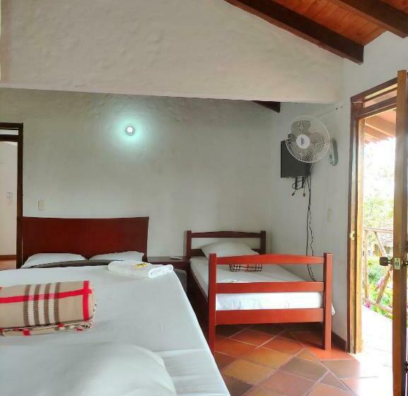 ファミリールーム, Campestre Amathea