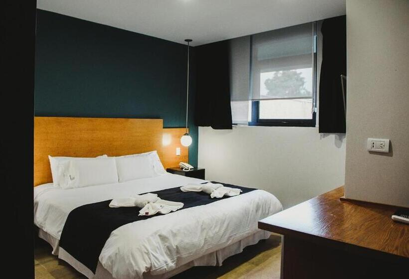 标准间, Plaza Paradiso Petit