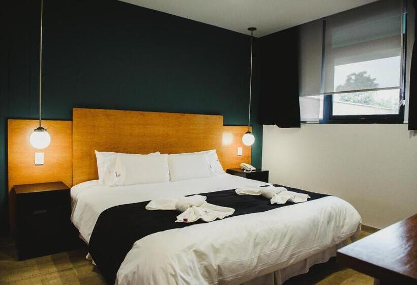 标准间, Plaza Paradiso Petit