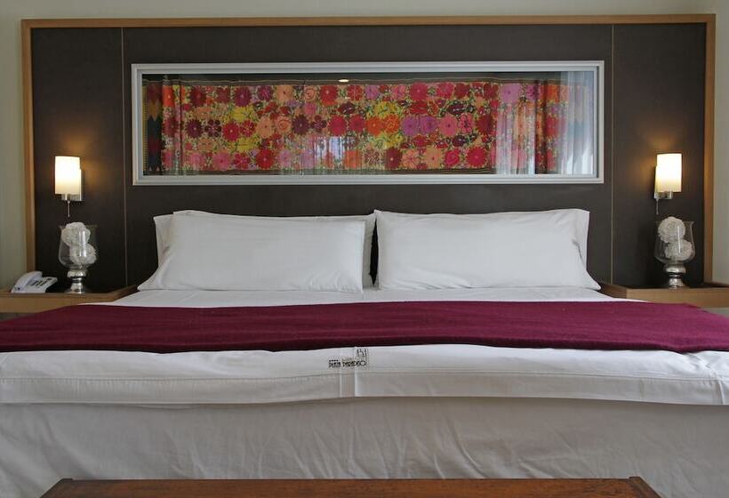 豪华房间, Plaza Paradiso Petit